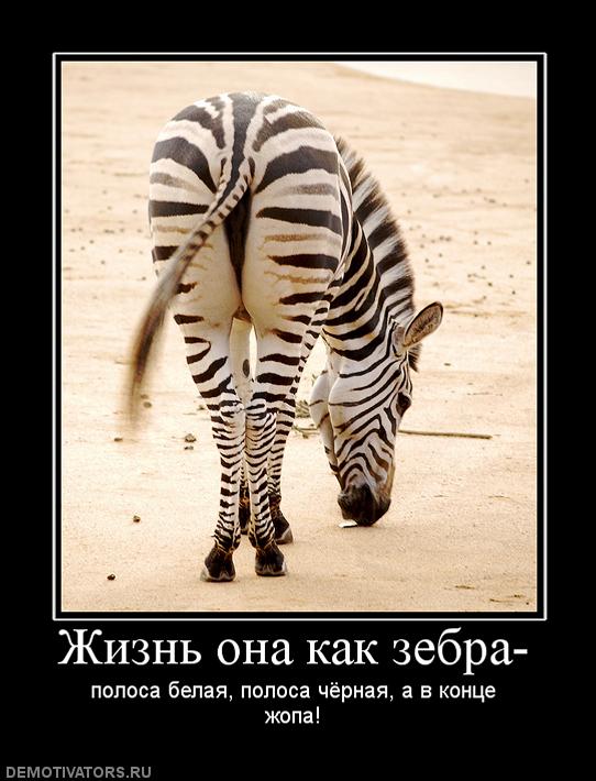 А у вас бывает непруха?