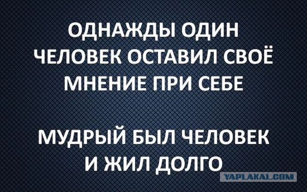 35 юмористических открыток с философскими рассуждениями о жизни