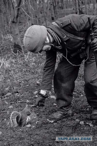 Про человеческие ценности и неоднозначность бытия