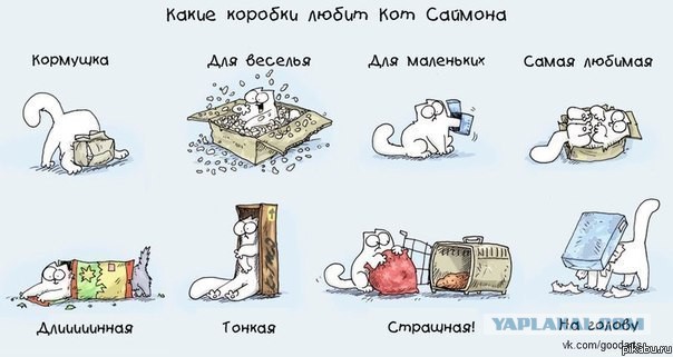 Коробочные коты или кошачий склад