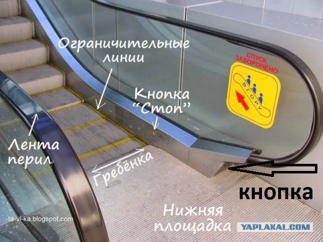 В сети появилось видео падения детей с эскалатора в Ставрополе