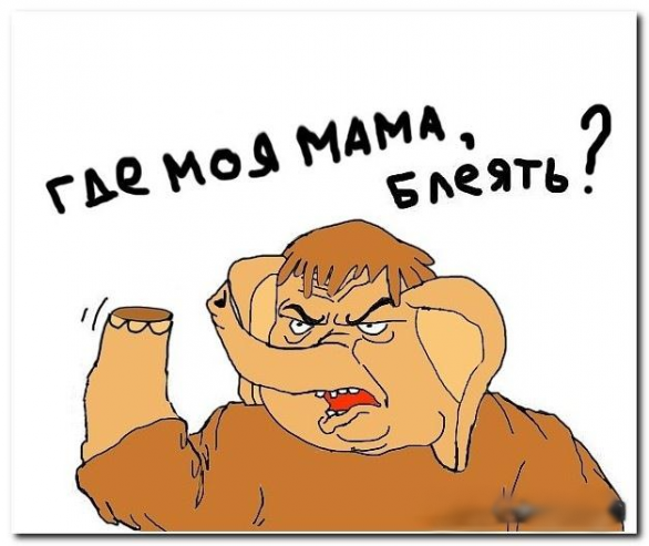 Яжемать! Подборка цитат и рассуждений