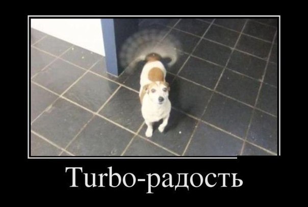 29 картинок