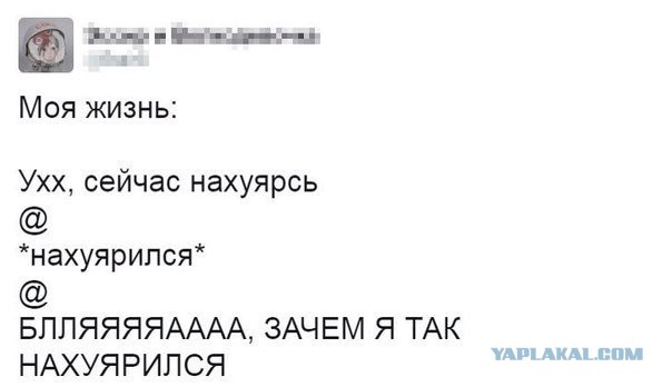 Смешные комментарии из социальных сетей 13.04.2018