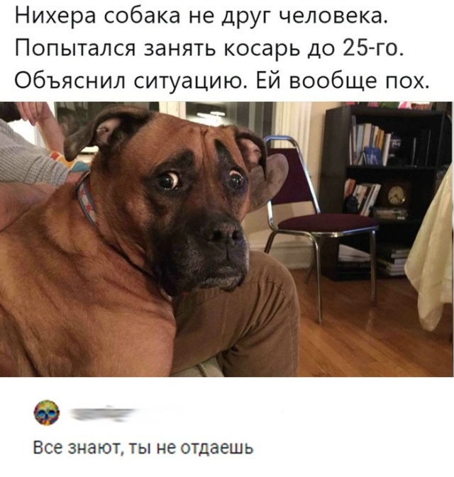 Нестандартный юмор