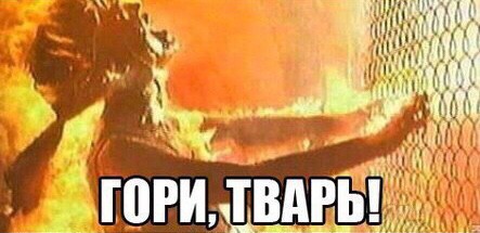 Живой "мех"