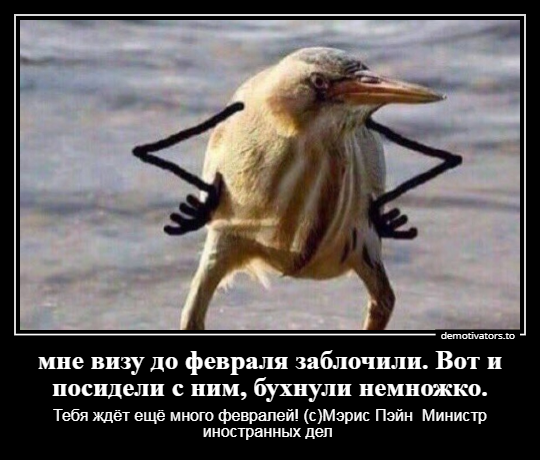 Чемпионат России по футболу 2018-2019(часть VI )
