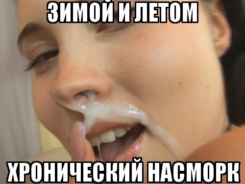 Скотсети и прочие интернеты 11.01.19
