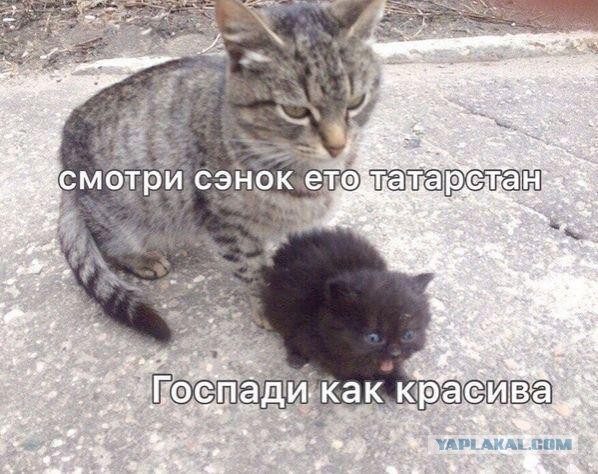 Бредзона 25.10.19