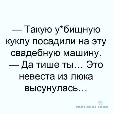 Немного картинок для настроения 10.01.20