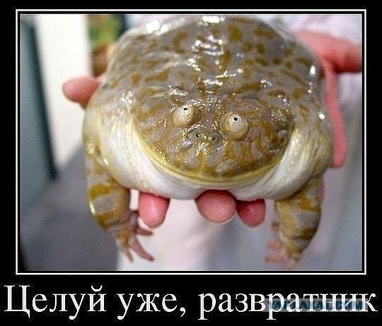 Многие женщины стали пытаться вернуть своих бывших, от которых сами же и уходили