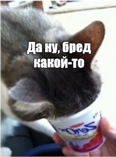 Последний год Владимира Семёновича