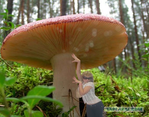 Отжабьте меня пожалуйста
