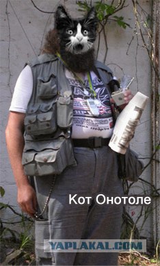 Фотожаба: Кот