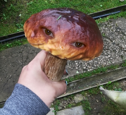 Еще пару слов о натахах