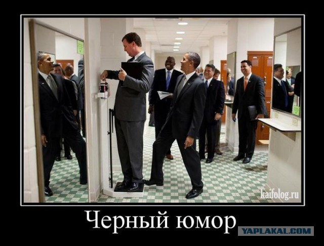 Весы