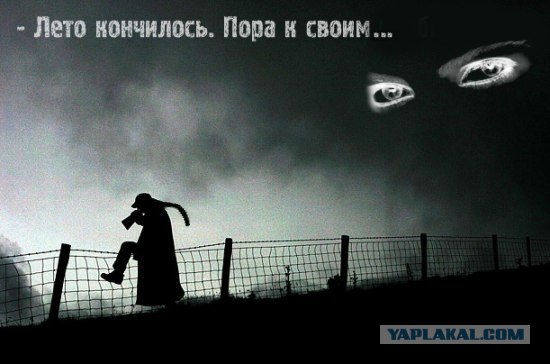 Битва фотожаберов: Лето кончилось