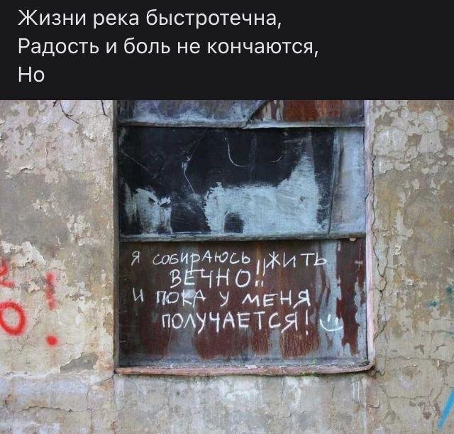 Стихо+картинки