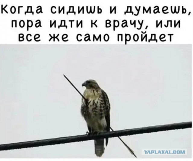 Мужики живут меньше
