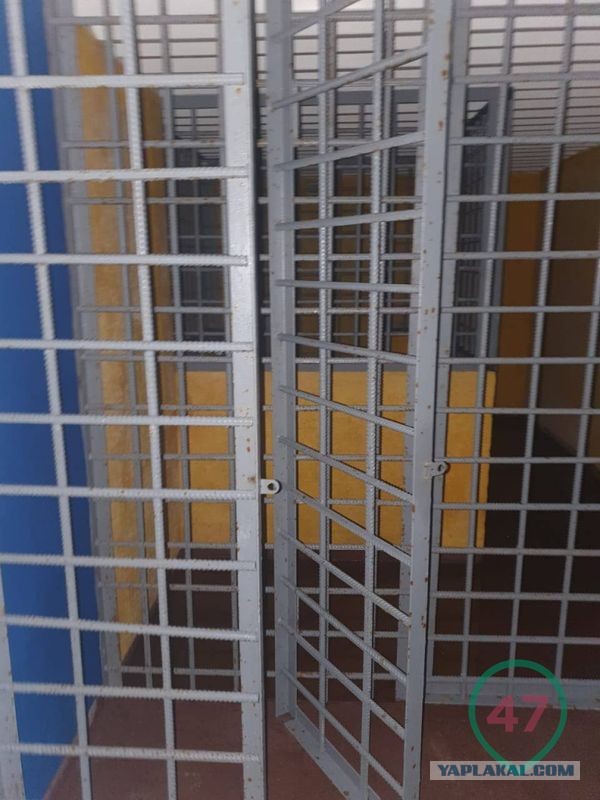 Под Петербургом нашли частную подземную тюрьму с крематорием