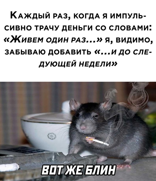 Картинки и мемы для настроения 12.08.2021