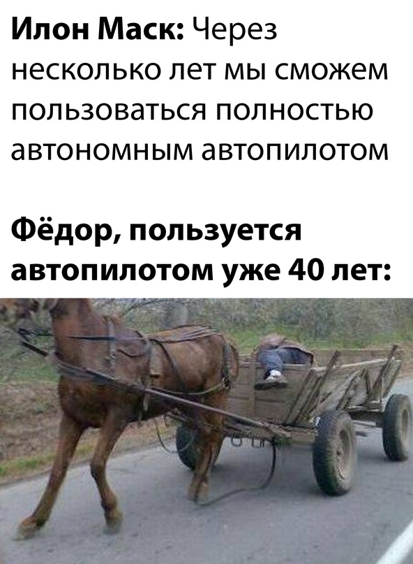 Весёлый полтишок 16.11