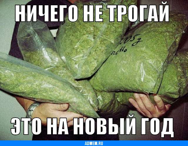 Всяческие картинки 08.12.2021