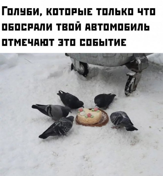 Утренняя подборка картинок и мемов - 2