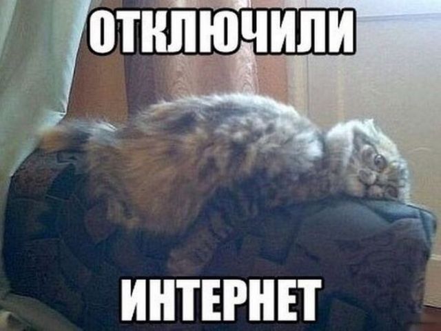 Картинки и буквы 15.07.22