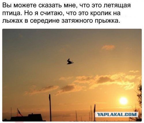 Весёлый полтишок 23.03.22