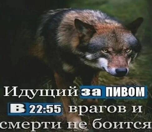 Пятница. Вечер. Картинки всякие #13