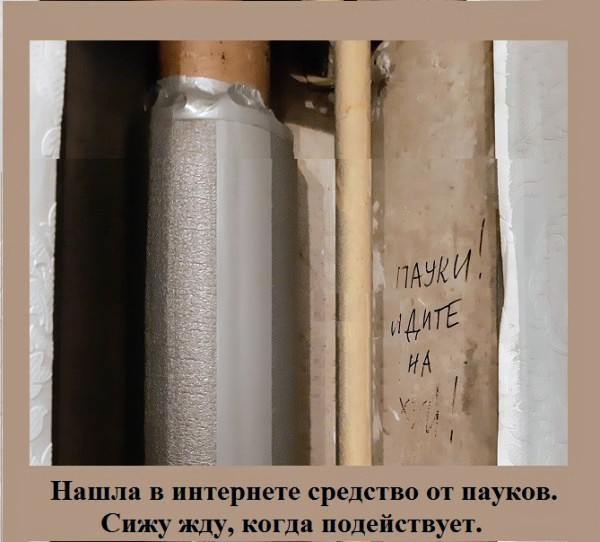 Картинки и мемы для настроения - 27