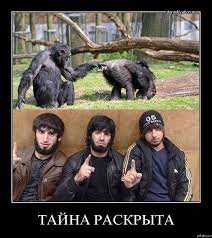 Дали заднюю