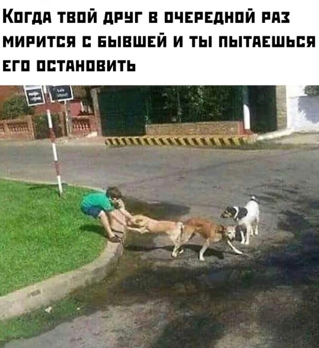 Немного картинок для настроения - 112