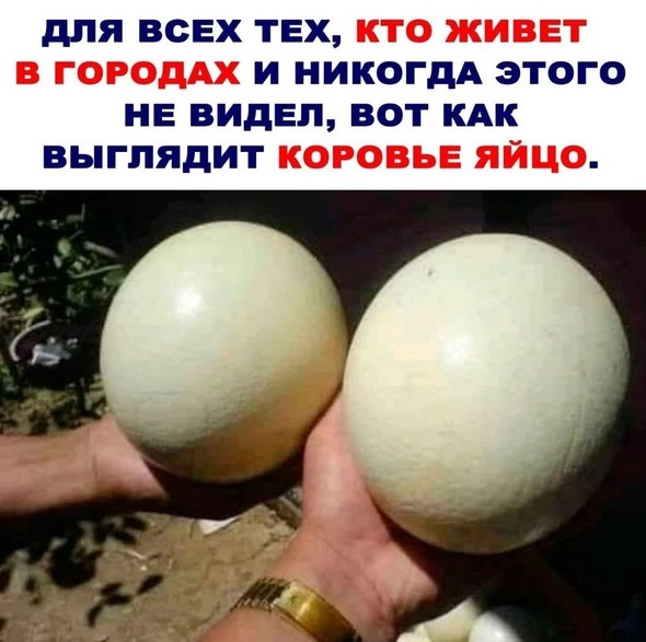 Картинки и мемы. Выходные близко...