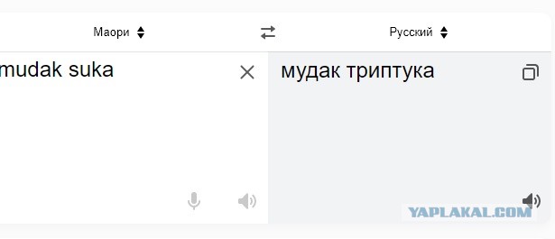 Не бейте баяниста - играет, как может