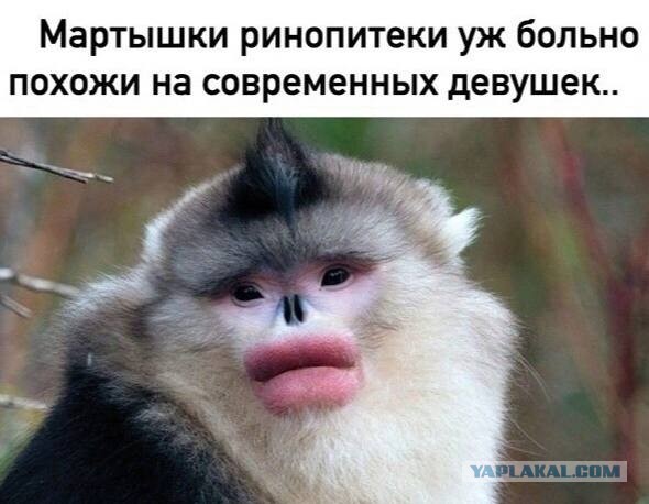 Немного мемчиков. Для взрослых. Часть 29