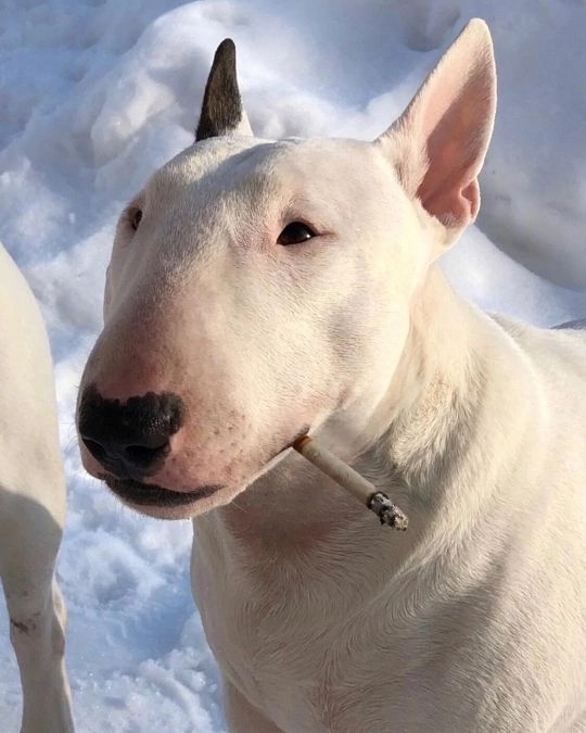 #9. Закрываем зиму