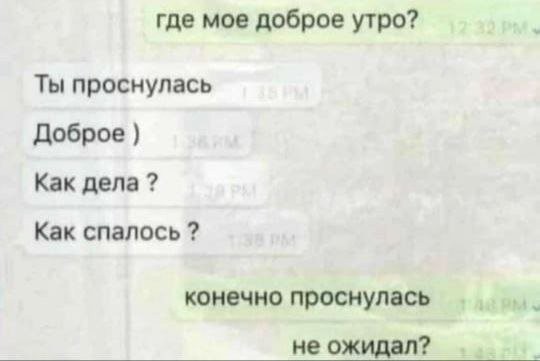 Весёлый полтишок 01.11.23