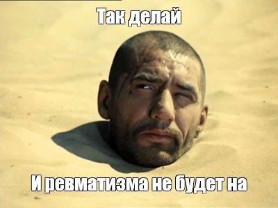 5 отличий между немецкой и восточно-европейской овчаркой