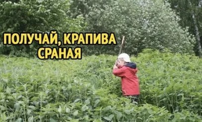 15-летняя онлифанщица угрожала учителям кислотой за плохие оценки