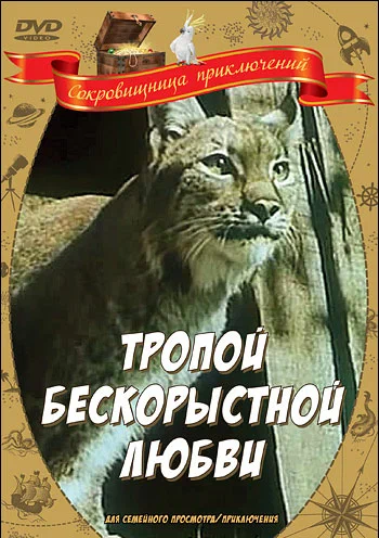 10 фильмов для тех, кому нужно поплакать. Без слёз не взглянешь