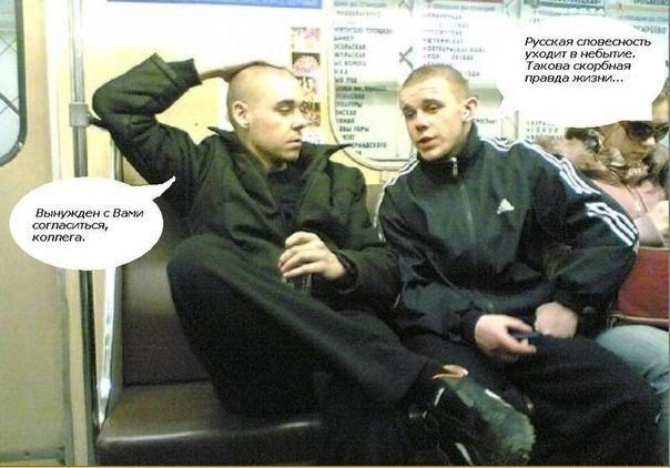 Откуда берутся эксперты?