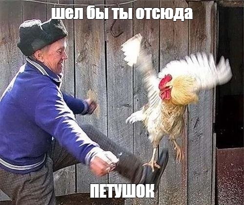 Эх, ХОЙ! Да ещё ХОЙ!