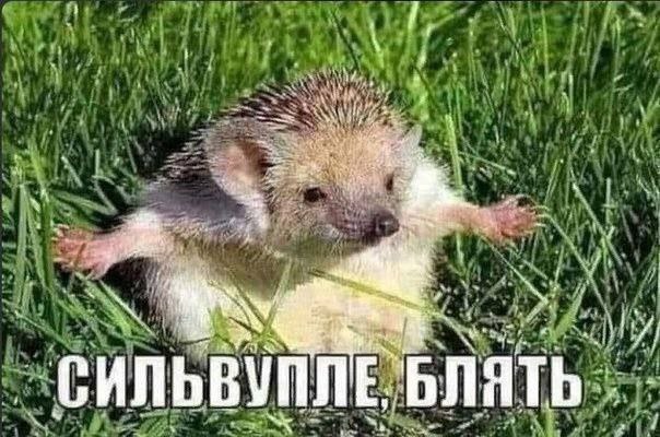 Лютый зверь в салоне
