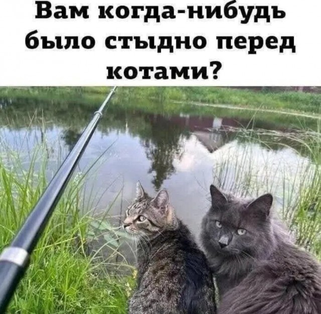 Так себе картинки 28.03.25