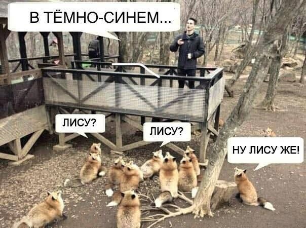 Так себе картинки 25.04.25