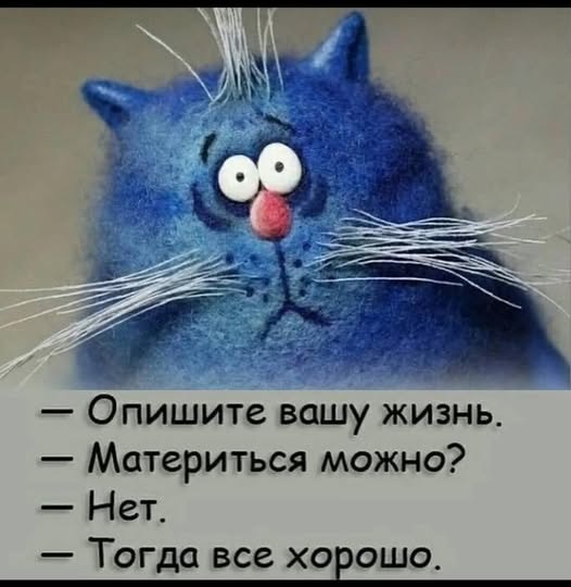 К котовторнику: подборка картинок-баянов с котиками и про котиков. Выпуск 8