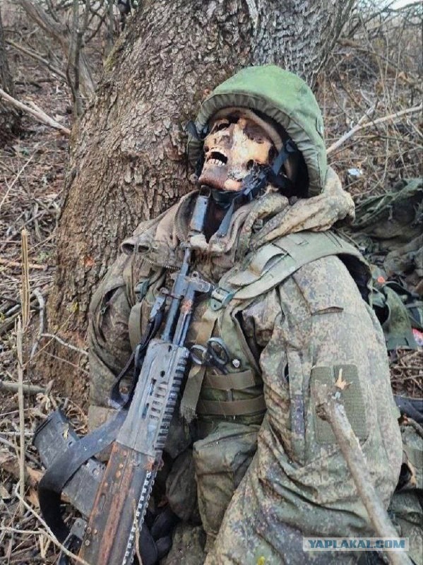 Птичник