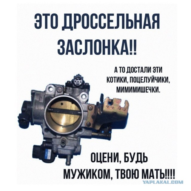 50 оттенков дичи